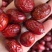 若芜灰枣一手货源厂家直销电商**欢迎选购
