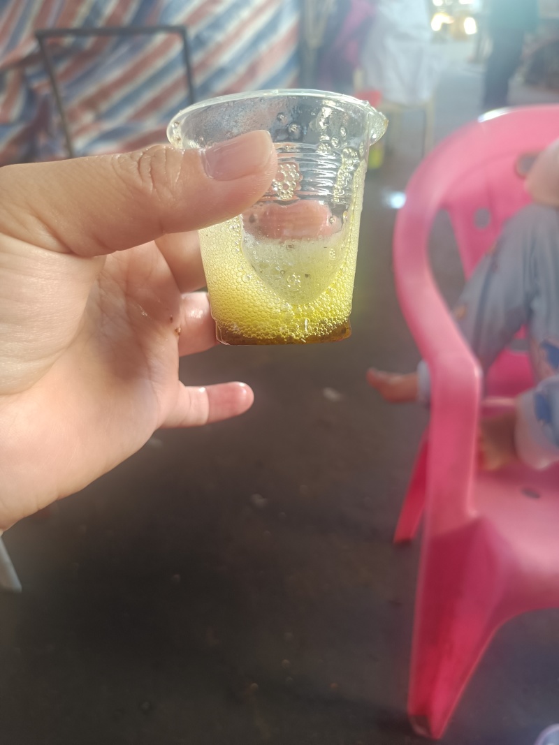 出售野生山茶油