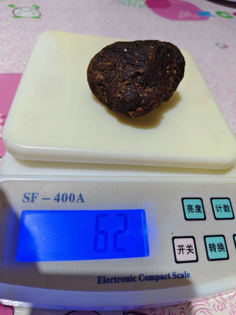 鹅宝
