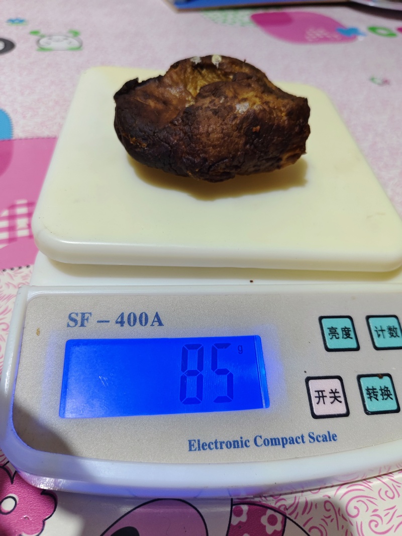 鹅宝