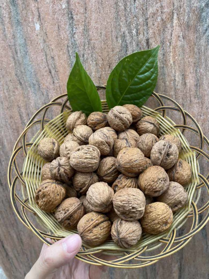 红衣核桃批发新货已到量大从优