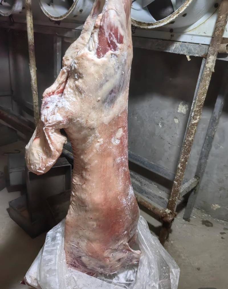 有需要的老板联系