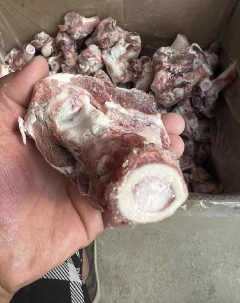 羔羊腿骨多肉满骨髓需要的老板来吧