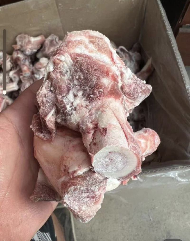 羔羊腿骨多肉满骨髓需要的老板来吧