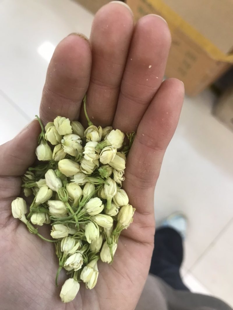 2024茉莉花茶干净漂亮色相好新货上市大量批发欢迎选