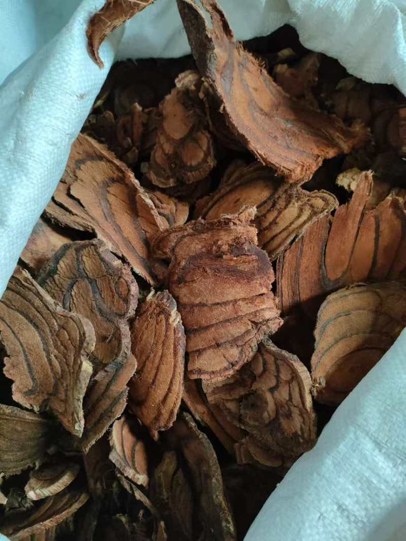 缅甸鸡血藤
