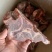 满肉牛脖骨
