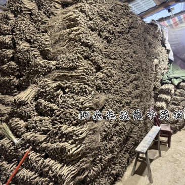 川牛膝干货大量下炕，随量上市，50吨干货可以先出