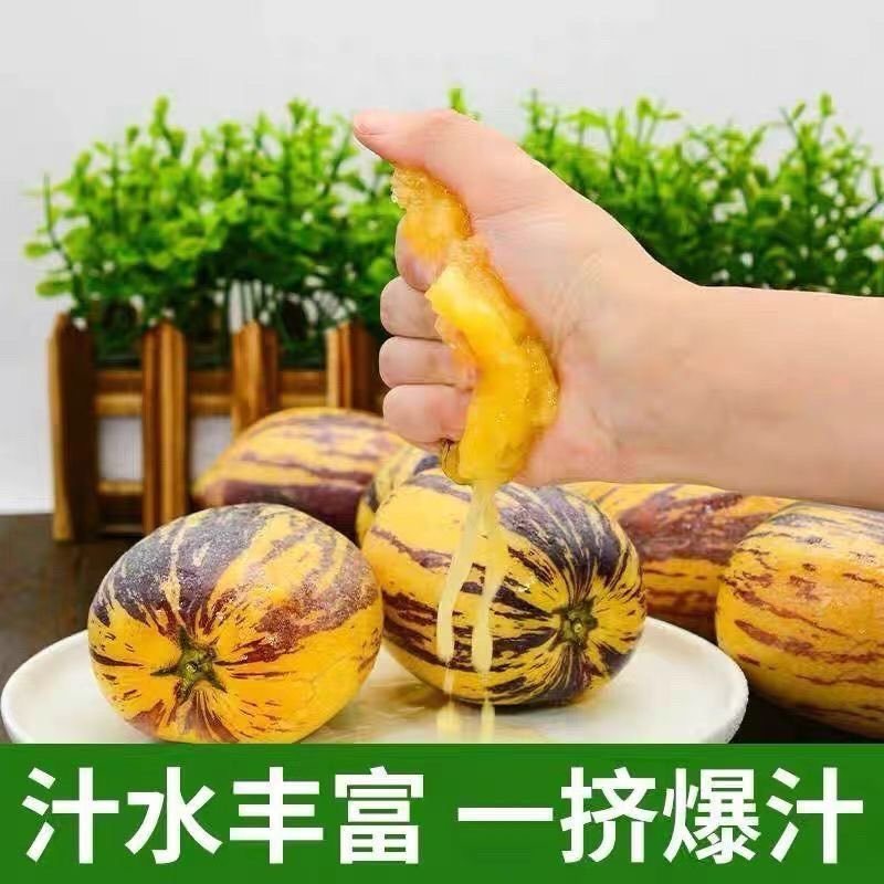 「好吃不贵」云南人参果新鲜当季水果正宗人参果黄肉大果包邮