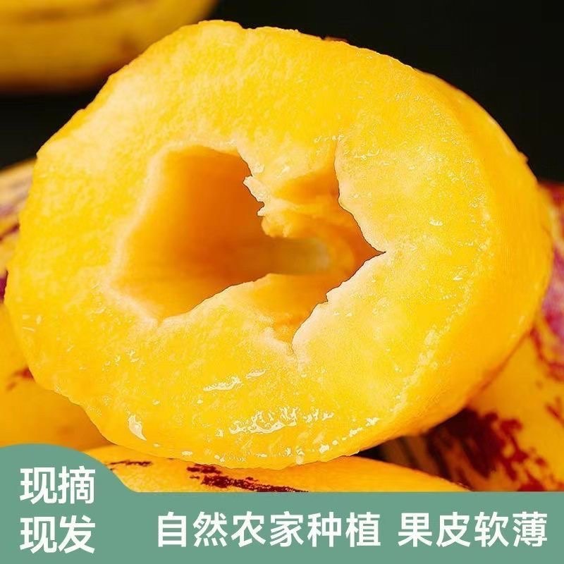 「好吃不贵」云南人参果新鲜当季水果正宗人参果黄肉大果包邮