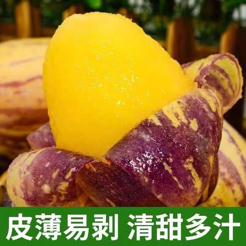 「好吃不贵」云南人参果新鲜当季水果正宗人参果黄肉大果包邮