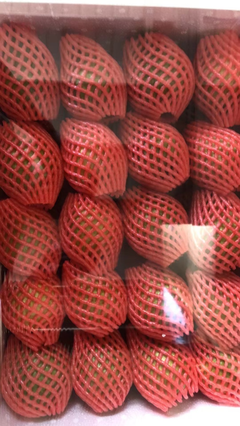 福建漳州珍珠芭乐
