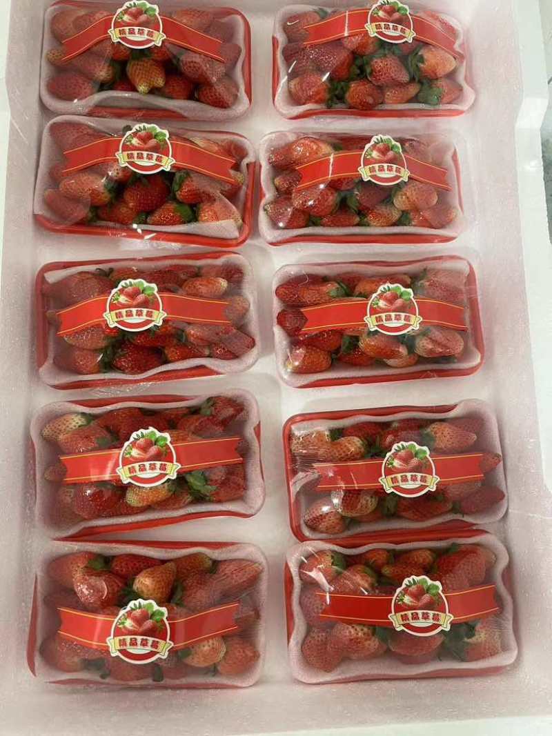 安徽阜阳闻集天仙醉草莓大量上市