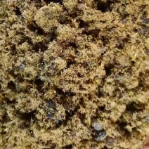 棉籽饼蛋白18脂肪11,蛋白脂肪为纯棉籽自身指标，替代豆粕