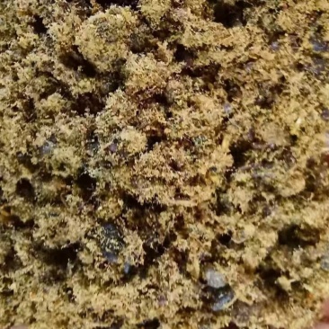 棉籽饼蛋白18脂肪11,蛋白脂肪为纯棉籽自身指标，替代豆粕