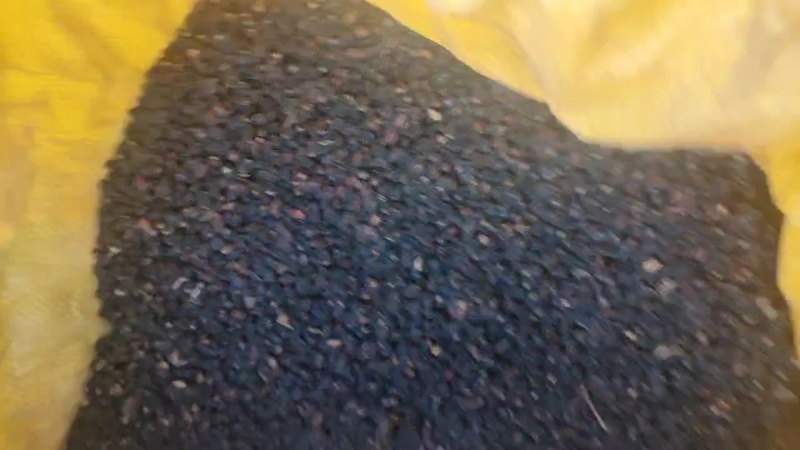 白刺果