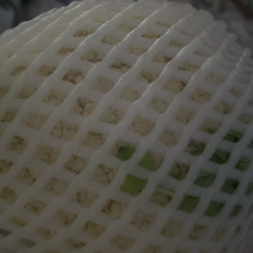 云南高原松花菜，青杆小米，花面洁白