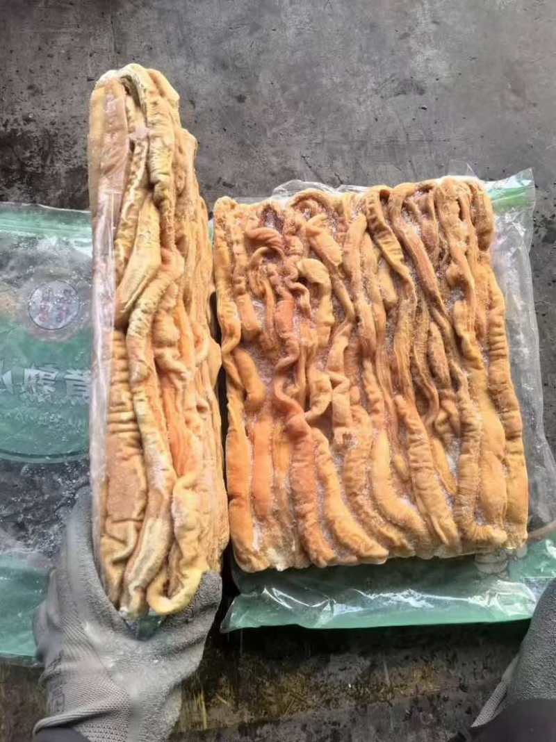 预煮十二指肠、预煮小肠头