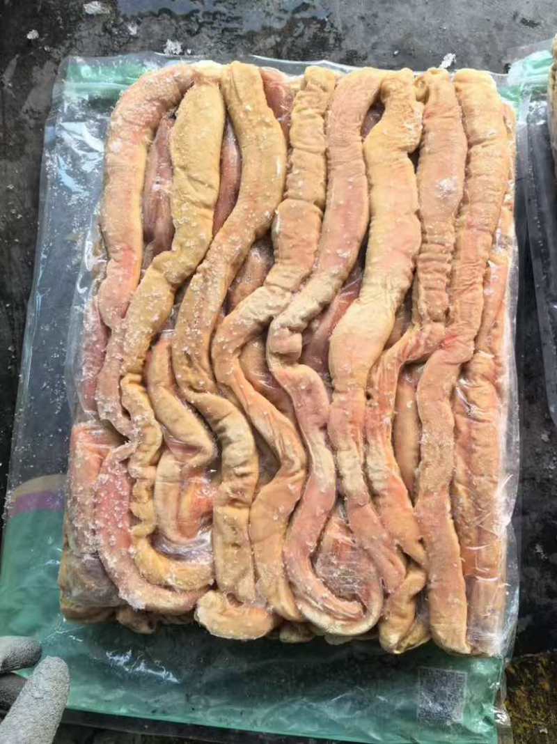 预煮十二指肠、预煮小肠头