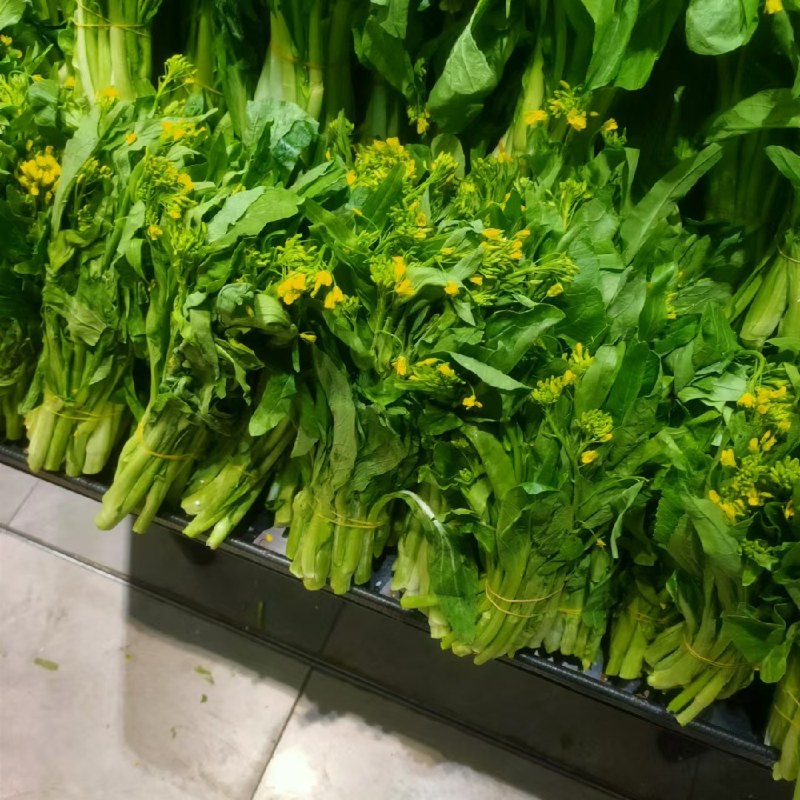 湖北白菜苔