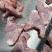 满肉龙骨块带肉多达60%​几块一斤​全国发货