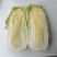 河南省南阳市娃娃菜（黄心）