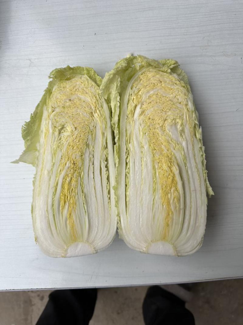 河南省南阳市娃娃菜（黄心）