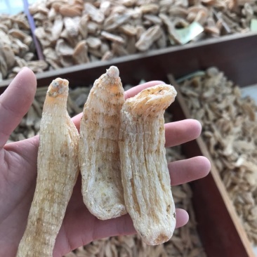 2024天麻昭通麻湖北麻无硫炖汤佳品产地直发质量保