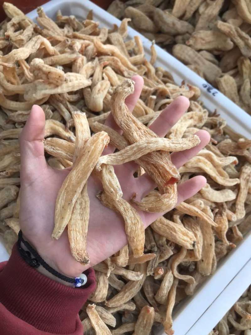 2024天麻昭通麻湖北麻无硫炖汤佳品产地直发质量保