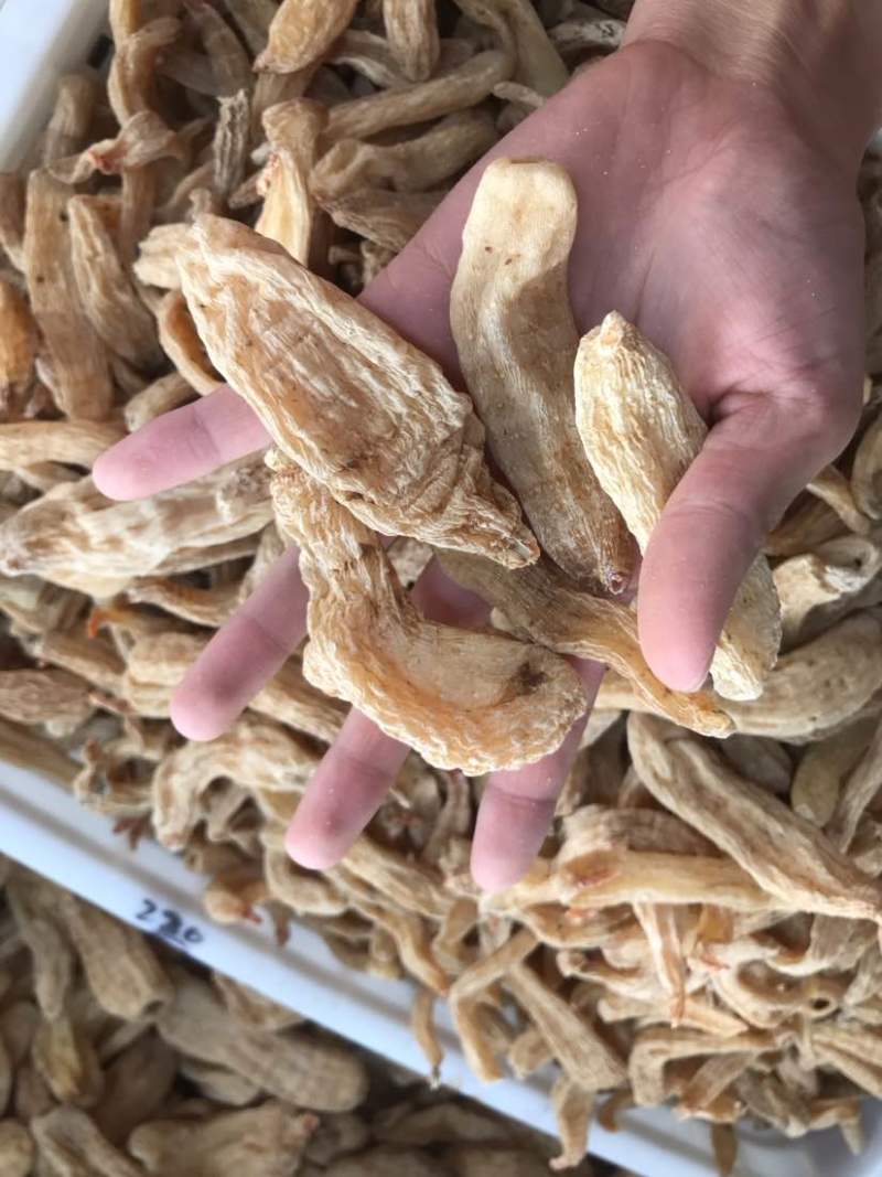 2024天麻昭通麻湖北麻无硫炖汤佳品产地直发质量保