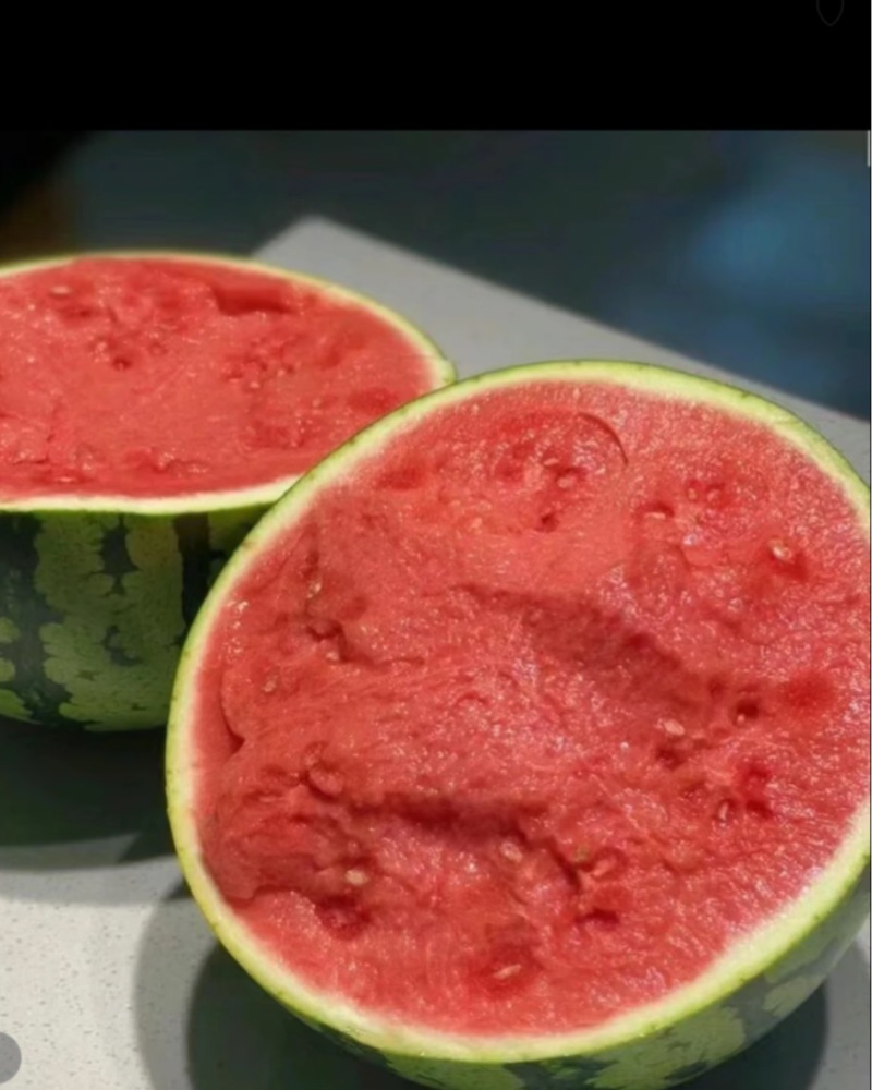 陆丰美都西瓜