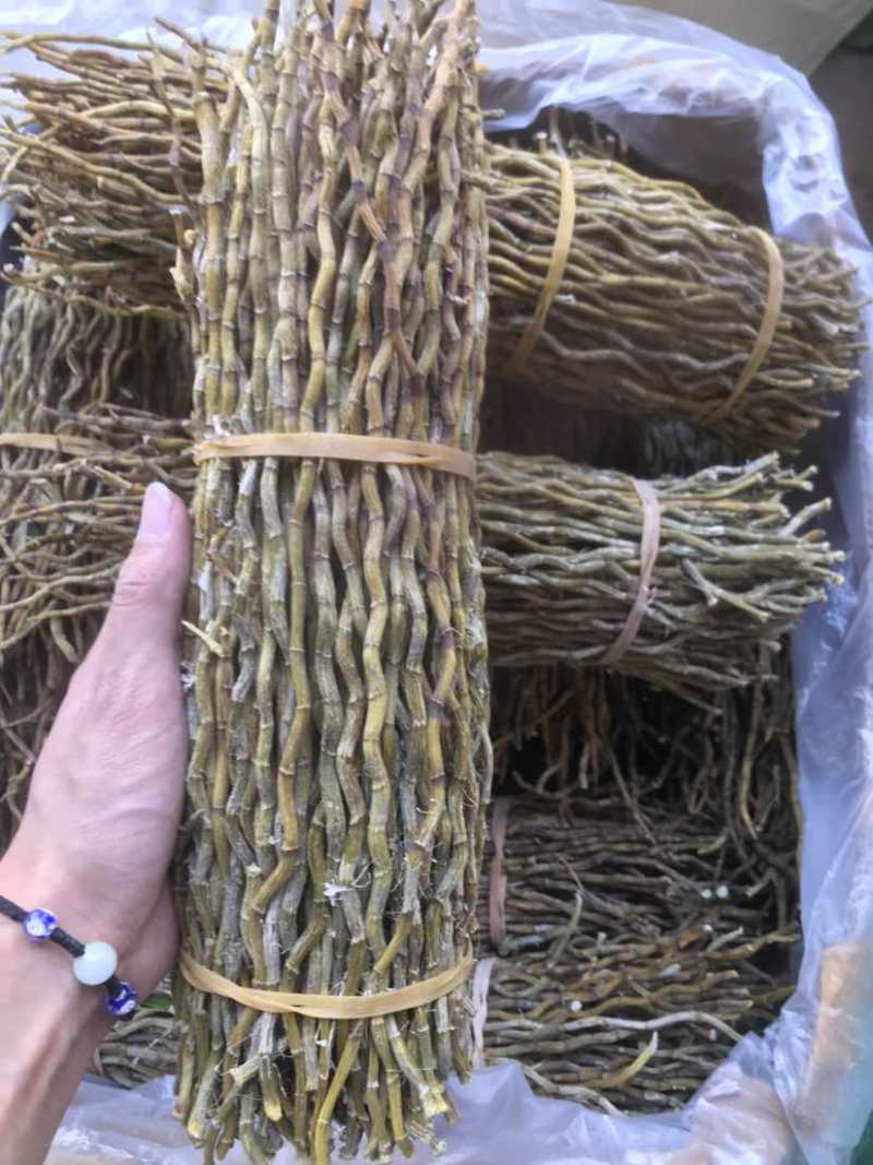 铁皮石斛条铁皮石斛枫斗散货片捆理条产地价格量大