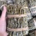 铁皮石斛条铁皮石斛枫斗散货片捆理条产地价格量大