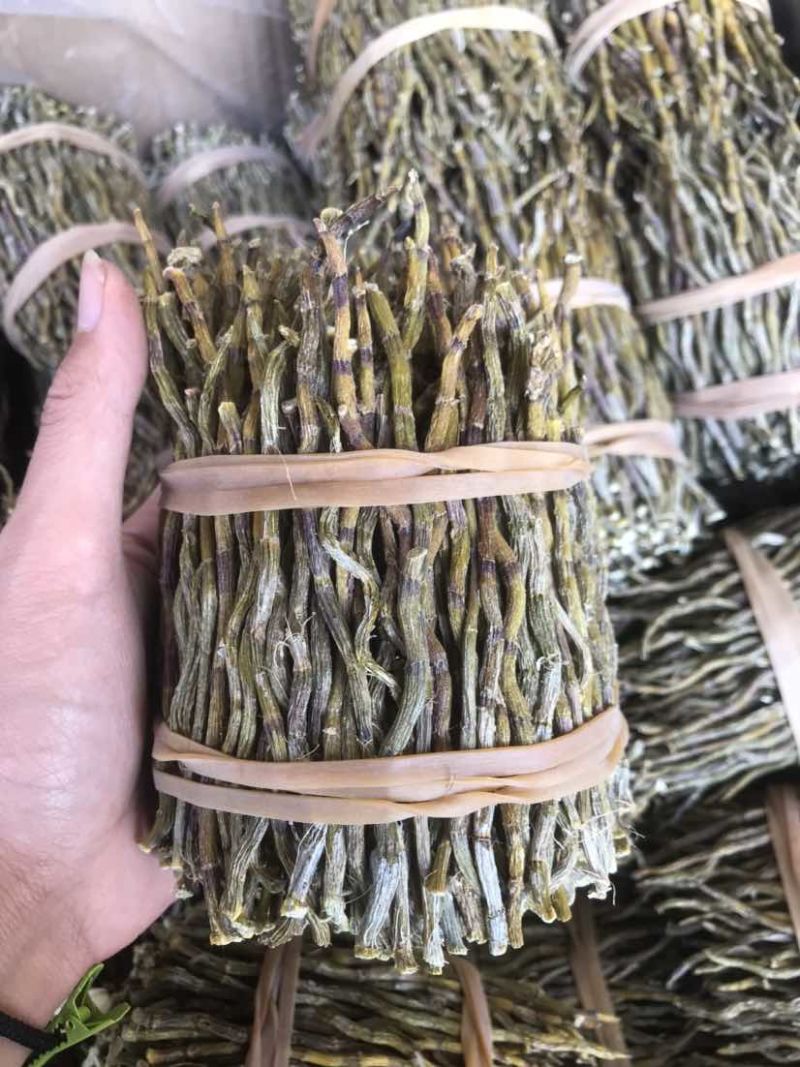 铁皮石斛条铁皮石斛枫斗散货片捆理条产地价格量大