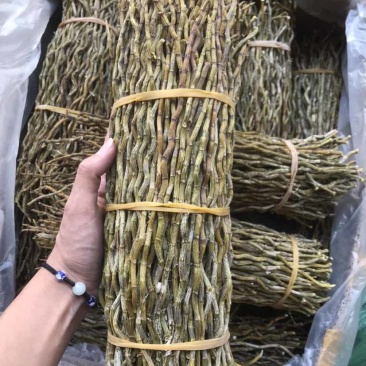铁皮石斛条铁皮石斛枫斗散货片捆理条产地价格量大