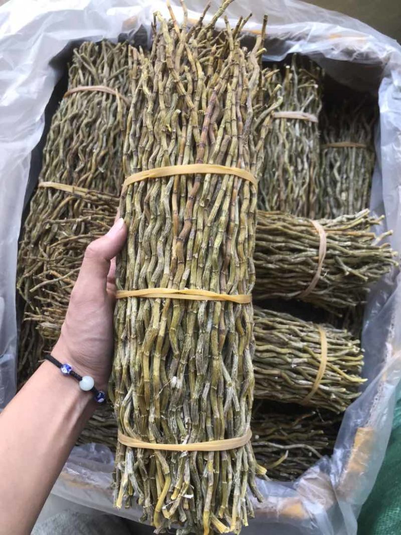 铁皮石斛条铁皮石斛枫斗散货片捆理条产地价格量大