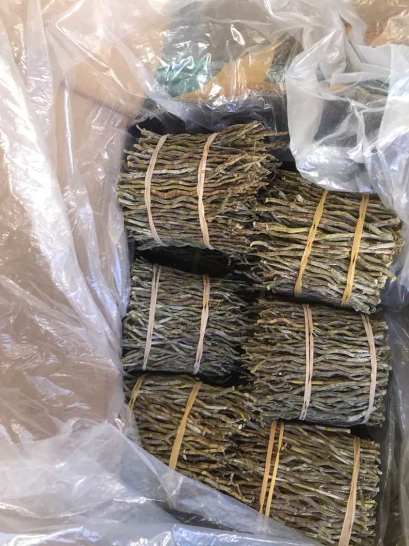铁皮石斛条铁皮石斛枫斗散货片捆理条产地价格量大
