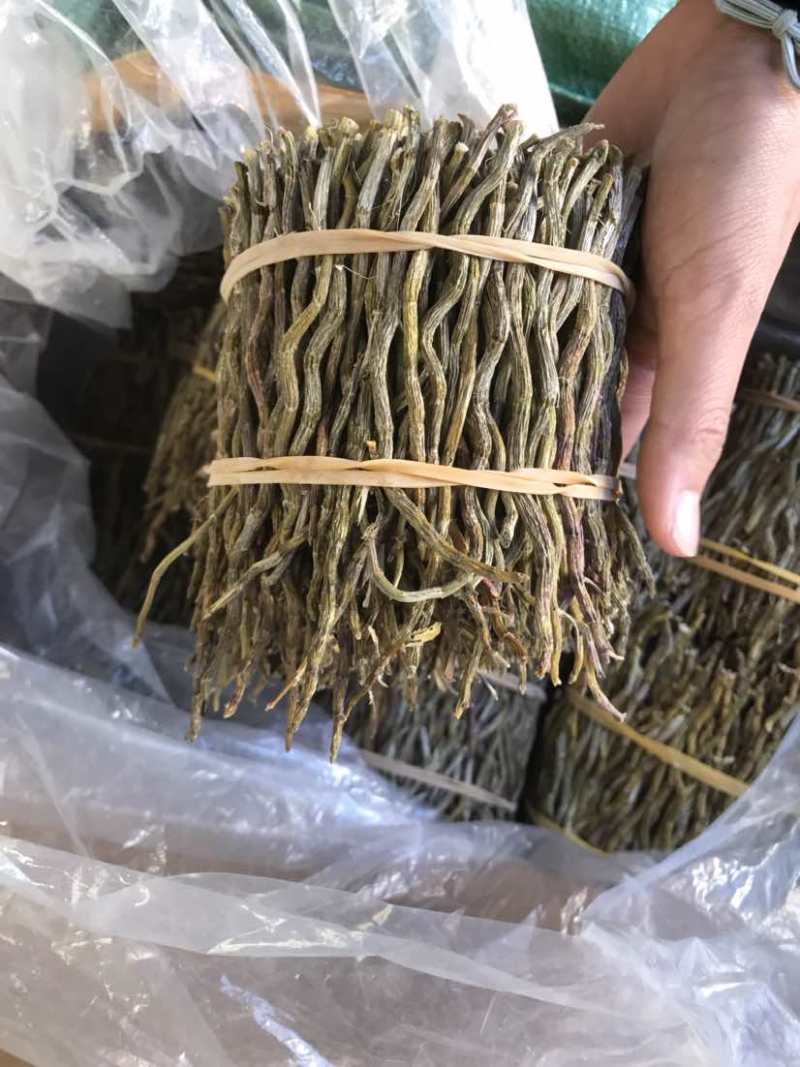 铁皮石斛条铁皮石斛枫斗散货片捆理条产地价格量大