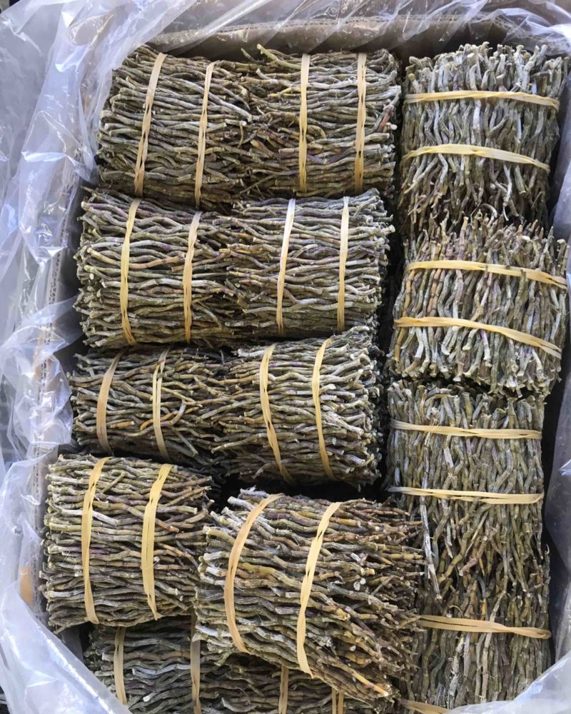 铁皮石斛条铁皮石斛枫斗散货片捆理条产地价格量大
