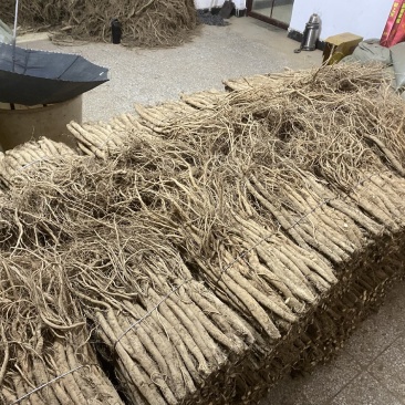 川牛膝干货陆续下炕，随量上市