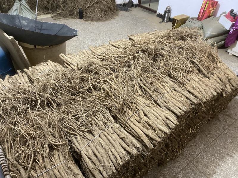 川牛膝干货陆续下炕，随量上市