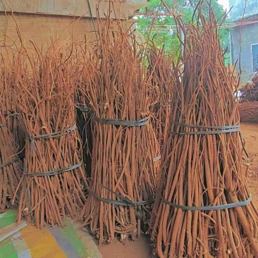 千斤拔干货