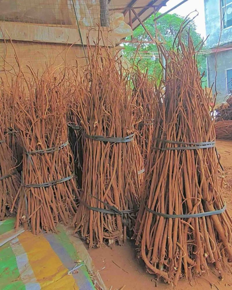 千斤拔干货