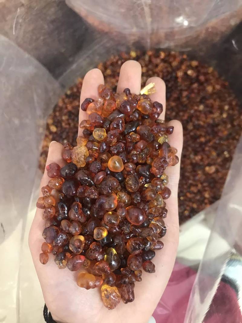 桃胶精修桃胶红黄胶纯黄胶批发兼零售一手货源大货批