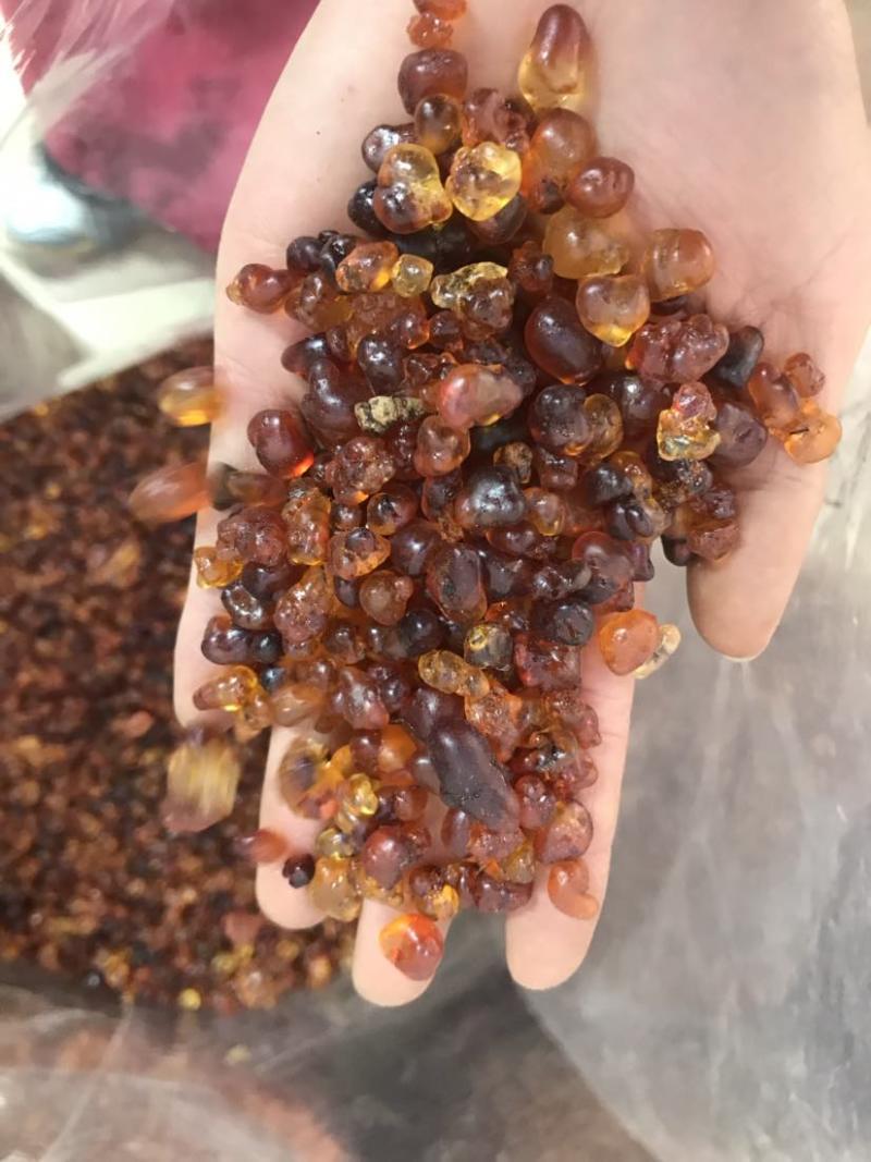 桃胶精修桃胶红黄胶纯黄胶批发兼零售一手货源大货批