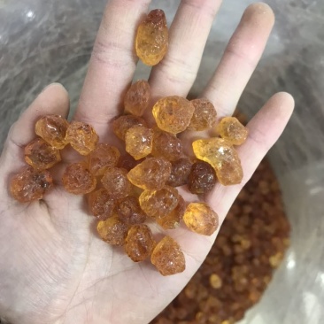 桃胶精修桃胶红黄胶纯黄胶批发兼零售一手货源大货批
