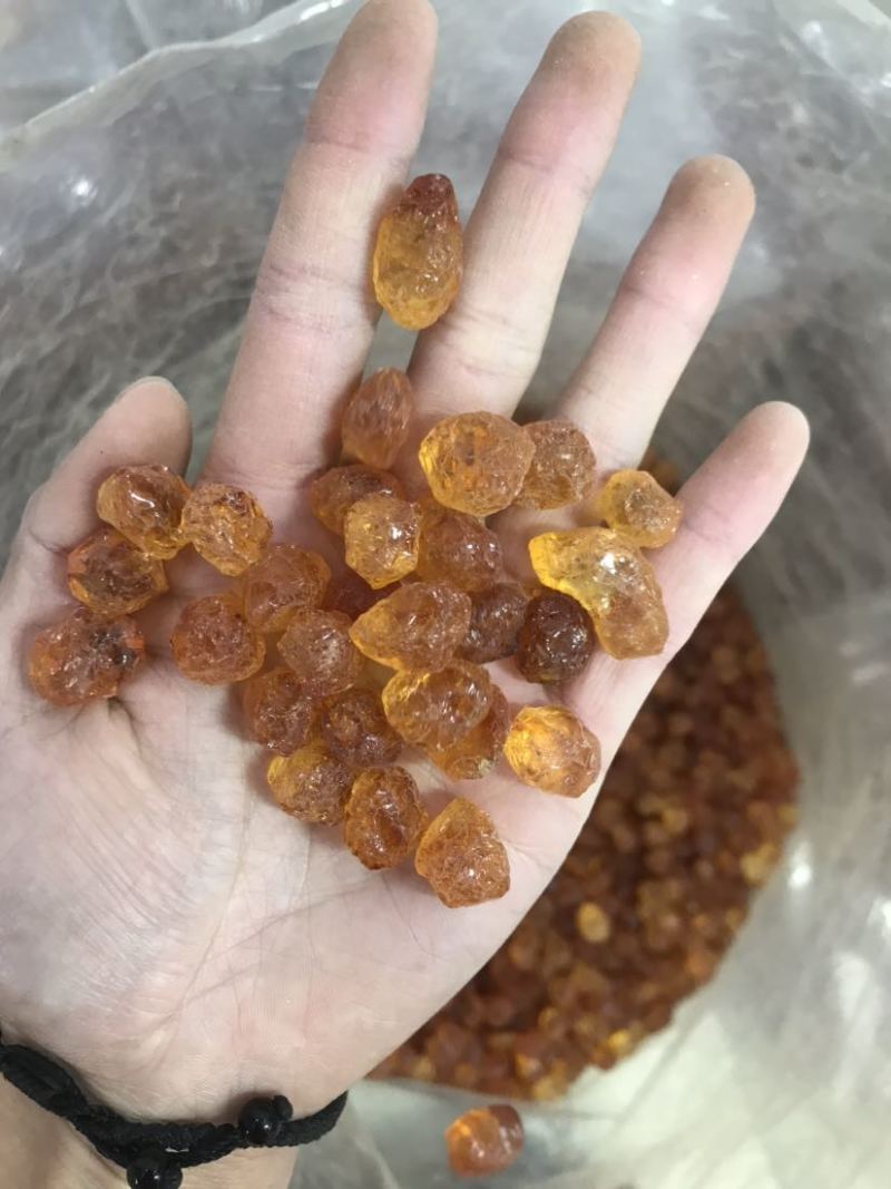 桃胶精修桃胶红黄胶纯黄胶批发兼零售一手货源大货批