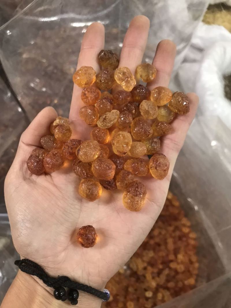 桃胶精修桃胶红黄胶纯黄胶批发兼零售一手货源大货批