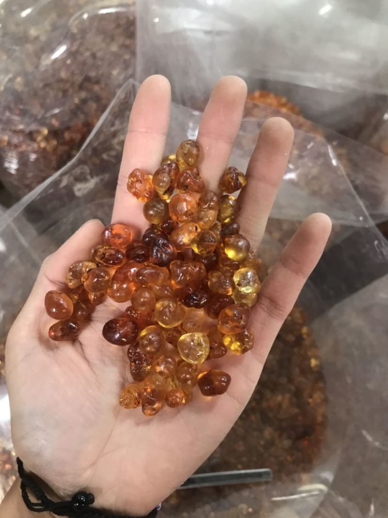 桃胶精修桃胶红黄胶纯黄胶批发兼零售一手货源大货批