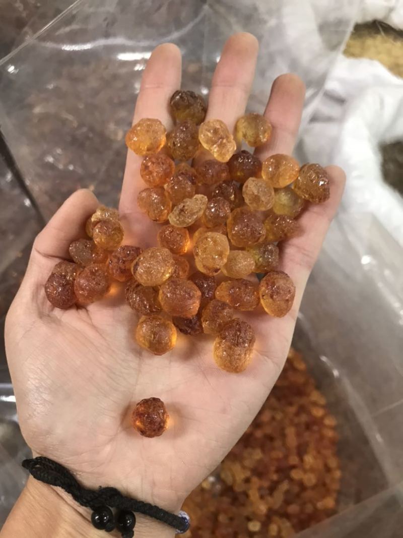 桃胶精修桃胶红黄胶纯黄胶批发兼零售一手货源大货批
